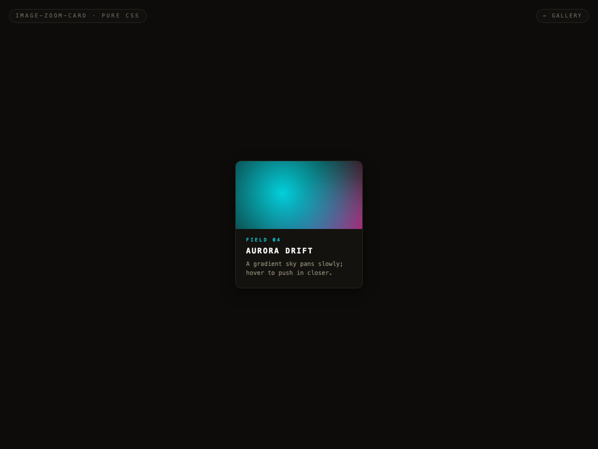 Image Zoom Card — preview